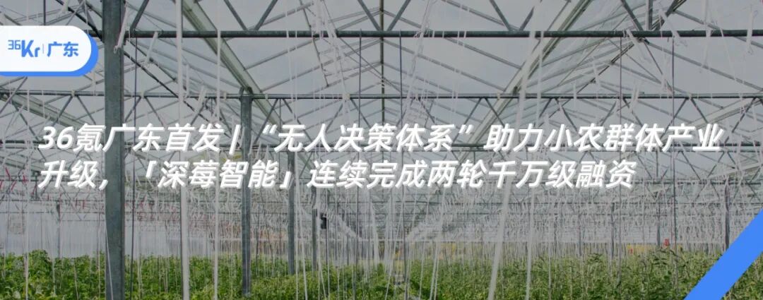 Illuminating Optical Networks with Distributed Fiber Sensors: How "Gaokan" Builds Industry Advantages with Qualitative and Quantitative Approaches