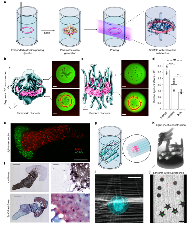 3D Bioprinting: The Latest from Nature!