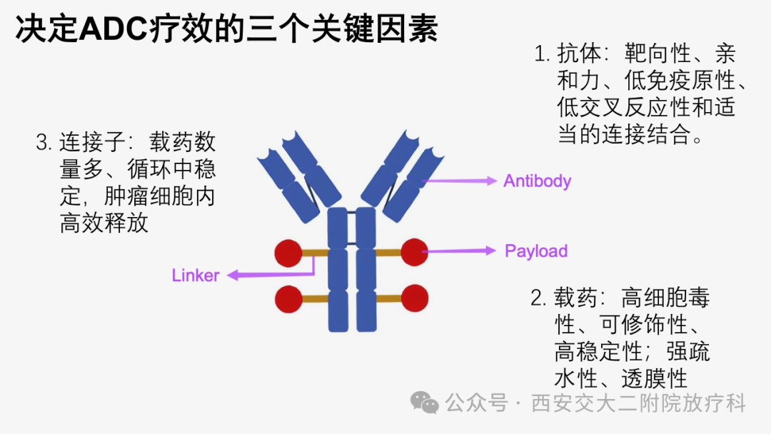 Advancements in the Application of ADC Drugs in Gynecological Malignancies