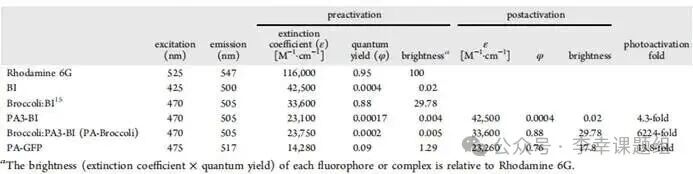 Photoactivatable RNA Tags for Subcellular Photolabeling of RNA