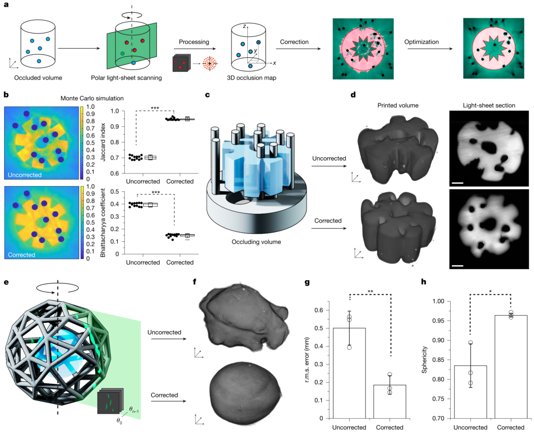 3D Bioprinting: The Latest from Nature!