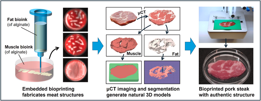 Embedded Bioprinting Enables Precise Fabrication of Cultured Meat with Authentic Structural Properties