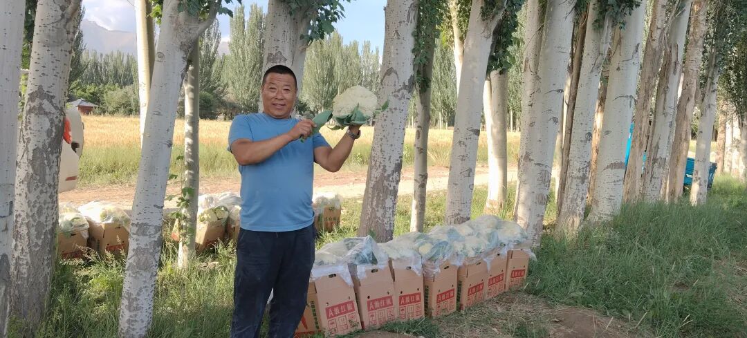 Strengthening the Awareness of the Chinese National Community: The 'Embedded' Vegetable Garden Yields 'Community' Fruits