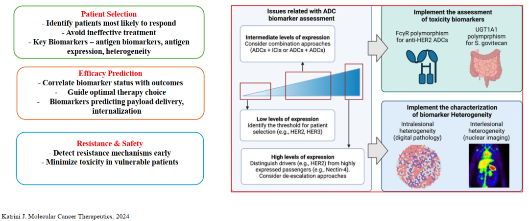 Biomarkers for ADCs: IHC and Beyond