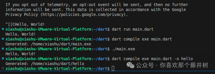 Linux Learning Notes (2): Dart
