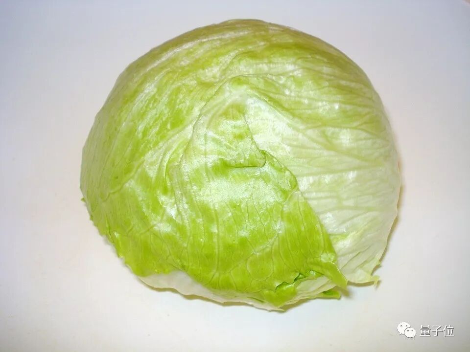 A 50-Year-Old Man Returns to Cambridge for an AI PhD, Developing a Robot to Harvest Lettuce Using AI