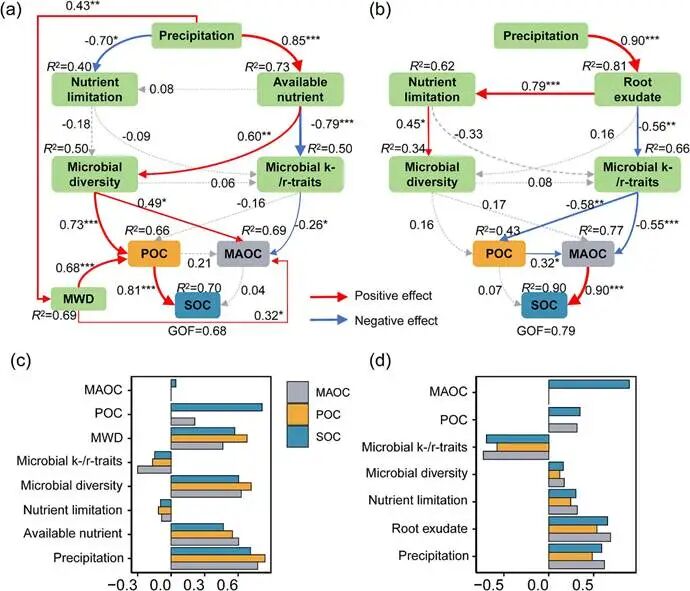 Divergent Mechanisms of Rhizosphere and Non-Rhizosphere Soil Organic Carbon Sequestration Under Precipitation Variability: Evidence from Microbial Life-History Strategies