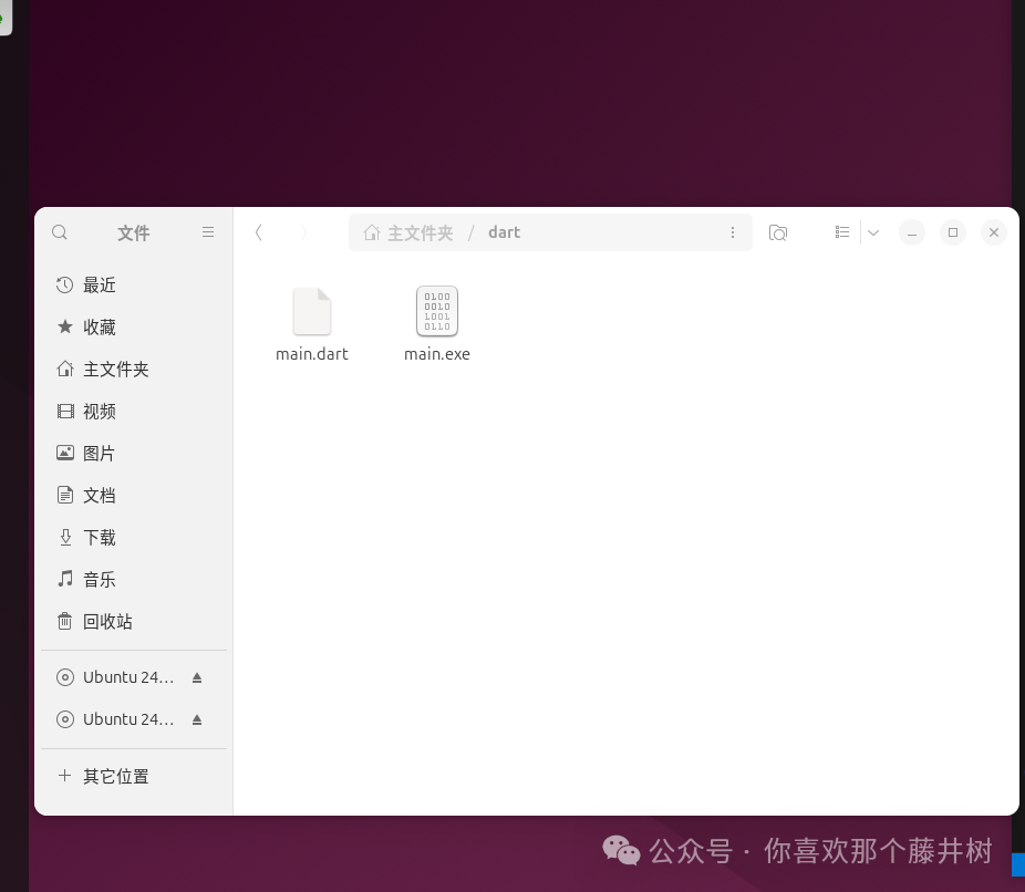 Linux Learning Notes (2): Dart
