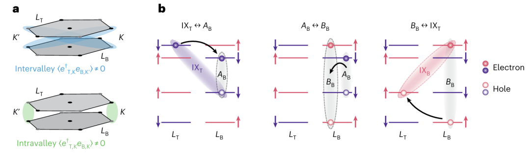 Research Progress: Two-Dimensional Semiconductor MoS₂ | Nature Physics