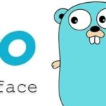 Go Language Library for Python: Time Handling