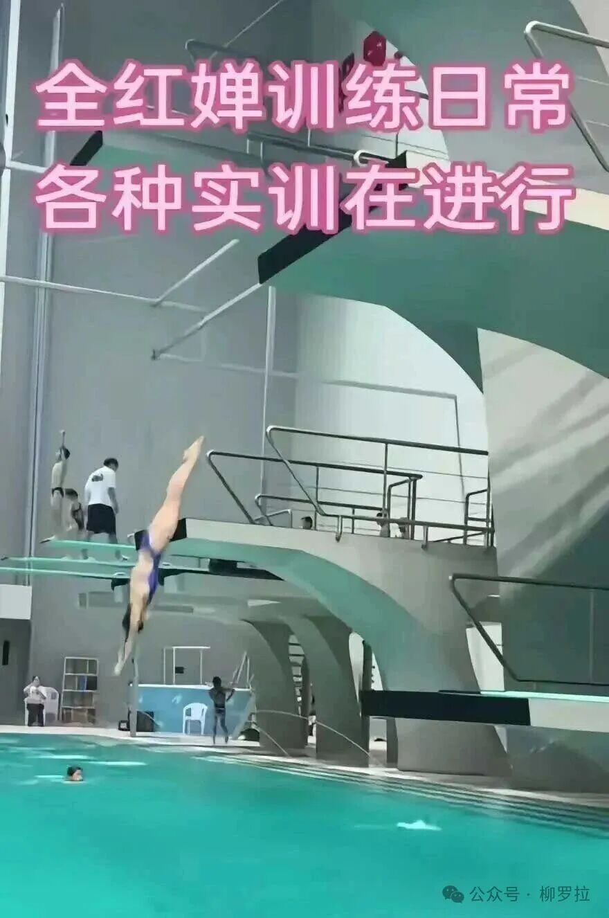 The 207C Dive Score Has Returned to 8.5! Behind Quan Hongchan's 10 Appearances on CCTV: 6-Hour Training Session Exposed, Unusually Intense