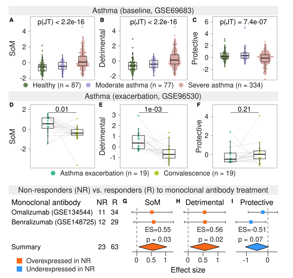 Immunity: Precise Prediction of Infection Severity and All-Cause Mortality Based on SoM Gene Features