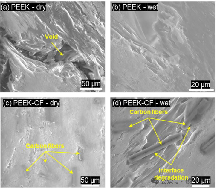 Water Durability of 3D-Printed PEEK and PEEK Carbon Fiber Composites
