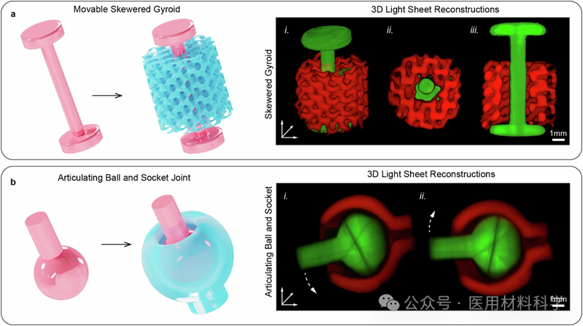 A 302-Day Journey: Biological 3D Printing in Nature!
