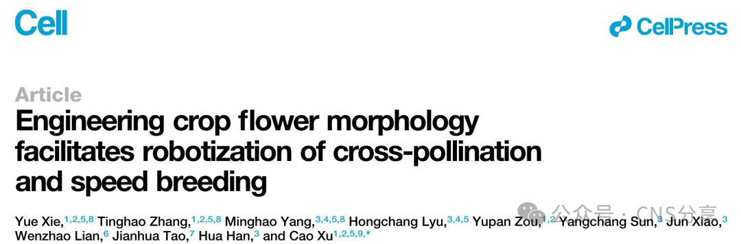 Engineering Crop Flower Morphology Facilitates Robotization of Cross-Pollination and Speed Breeding