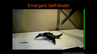 Have Robots Achieved 'Self-Awareness'?