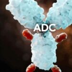 The 'Frenzied Growth' of ADC Drugs is Not the Precision Missile You Imagine