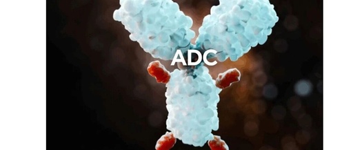 The 'Frenzied Growth' of ADC Drugs is Not the Precision Missile You Imagine