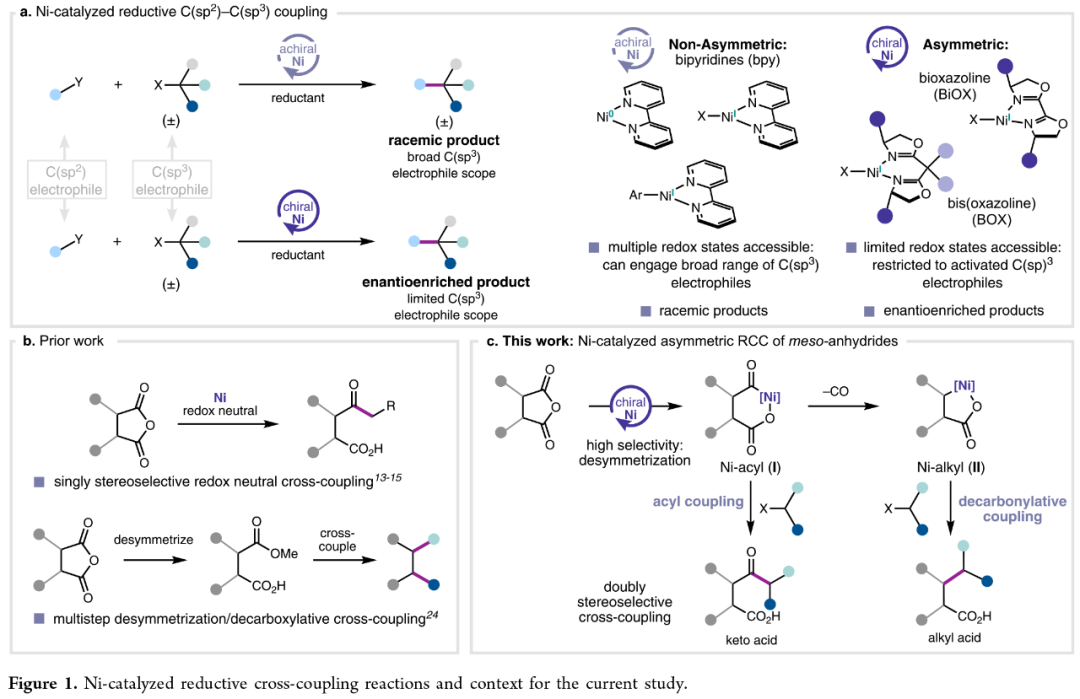 J. Am. Chem. Soc.: Nickel-Catalyzed Enantioselective Desymmetrization: Development of Divergent Acyl and Decarbonylative Cross-Coupling Reactions
