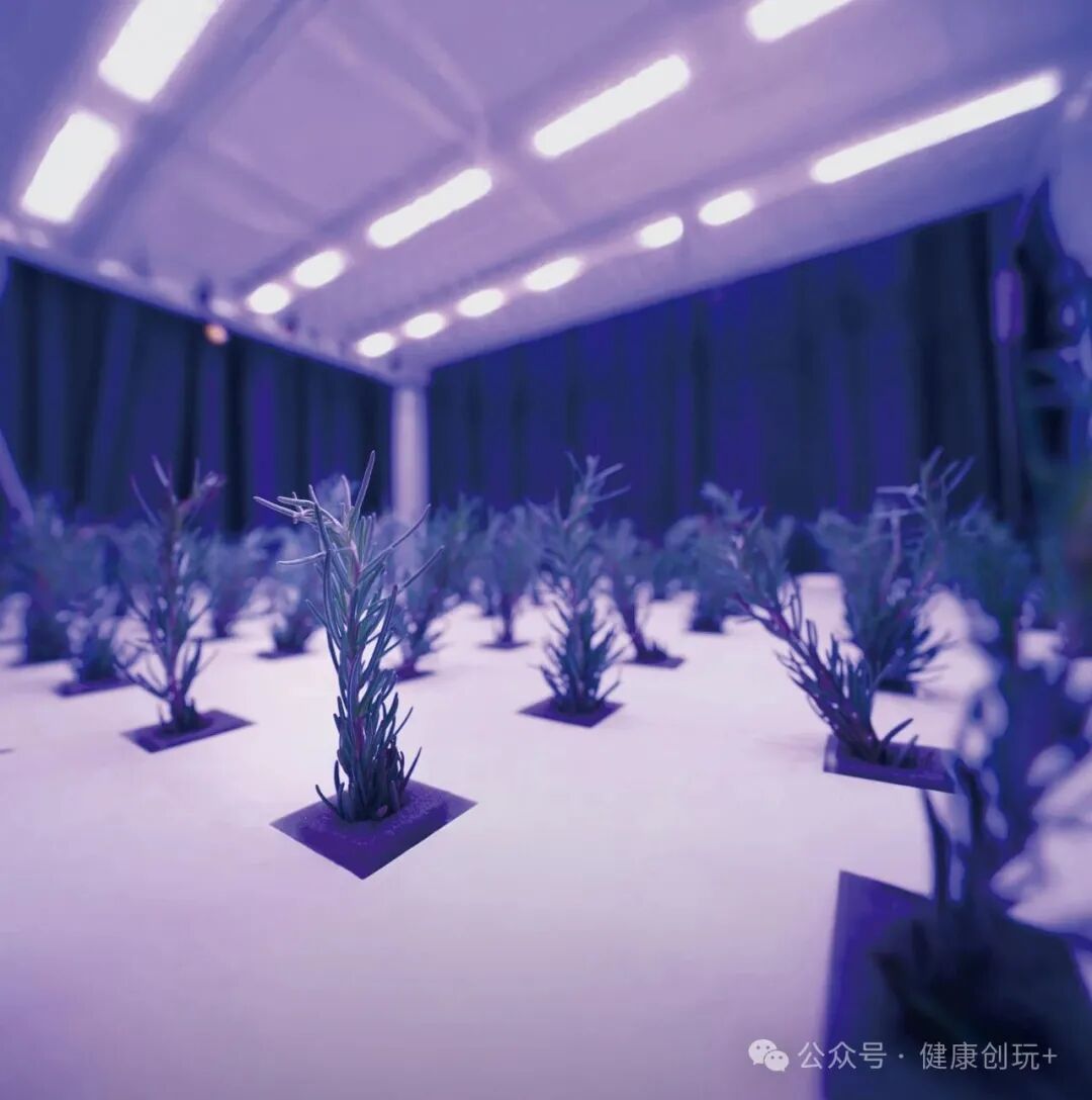 IoT Temperature Control and AI Nutritional Measurement: Every Plant at Amway's R&D Center Enjoys a 'VIP Customized Growth Plan'