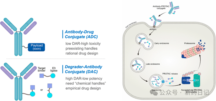 New Frontiers in Medicinal Chemistry: In-Depth Analysis of DAC Technology