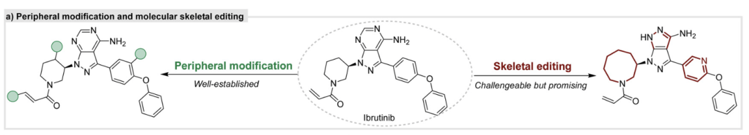 Review by Professor Hongjian Lu's Team at Nanjing University | Recent Advances in Skeleton Editing Based on Nitrogen Atom Manipulation