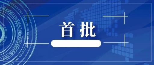 First Batch! Shudian Virtualization Data Engine X-Engine Successfully Passes the Basic Capability Test of Integrated Data Platform by China Academy of Information and Communications Technology