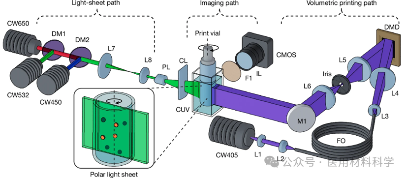 A 302-Day Journey: Biological 3D Printing in Nature!