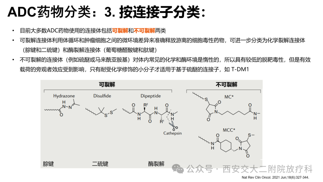 Advancements in the Application of ADC Drugs in Gynecological Malignancies