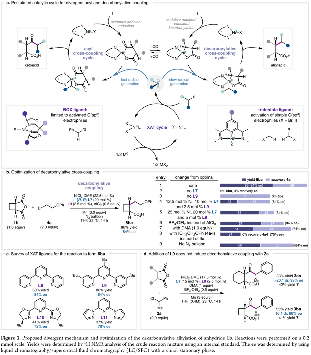 J. Am. Chem. Soc.: Nickel-Catalyzed Enantioselective Desymmetrization: Development of Divergent Acyl and Decarbonylative Cross-Coupling Reactions