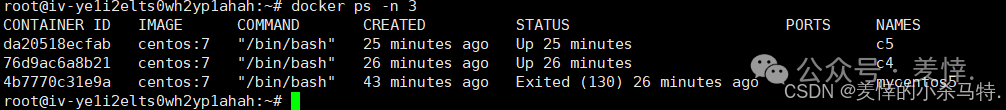 Mastering Docker End-to-End: Container Management, Nginx Homepage Customization, BusyBox Tool Practice, and Tencent Cloud Repository Deployment