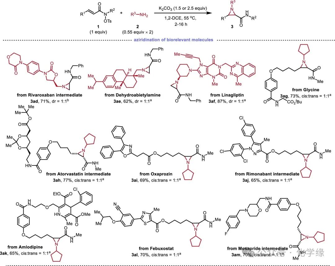 Efficient Synthesis of N-Alkyl or N-Aryl Nitrogen-Containing Propanes via α and β Nucleophilic Additions
