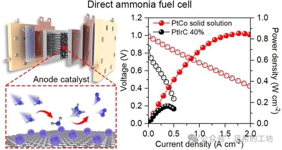 JACS: Breakthrough in Power Density of Direct Ammonia Fuel Cells Achieved with Trace Cobalt-Substituted Platinum Catalysts at 853.75 mW cm⁻²