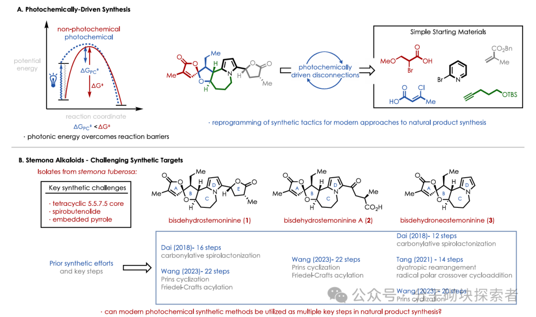 Photochemical Retrosynthetic Analysis Strategy Aids in Developing the Shortest Synthesis Route for Three Stemoamide Alkaloids