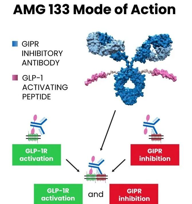The Vast Potential of ADC Drugs: Autoimmunity, Infections, Metabolism, CNS, and More