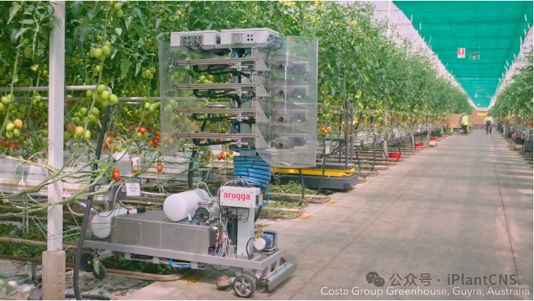 Case Studies of Agricultural Practices Using Artificial Intelligence Robots