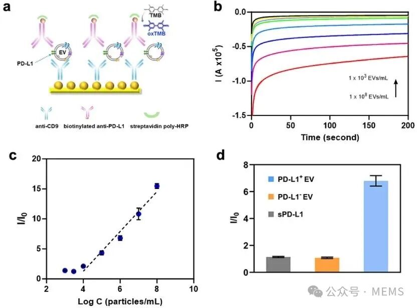 Digital Microfluidic Platform for Integrated Electrochemical Sensors: Automated Extraction and Detection of Extracellular Vesicles