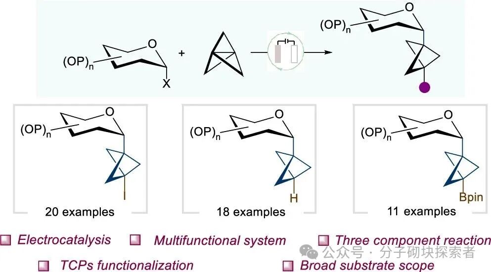 Unlocking Chemical Space: Electrochemically Driven Synthesis of Glycosyl Bicyclo[1.1.1]pentane Frameworks