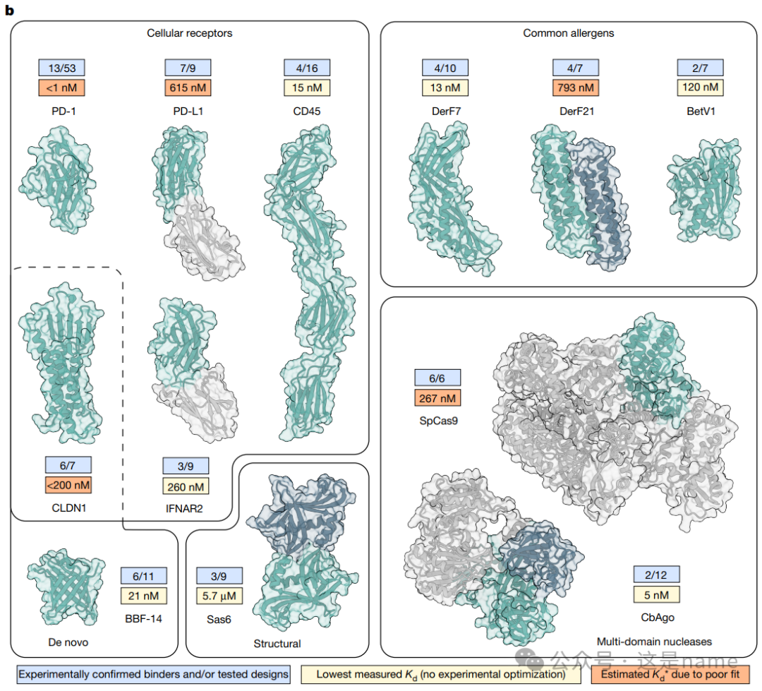 BindCraft: A One-Shot Protein Design Tool for Functional Protein Binders (Nature 2025)
