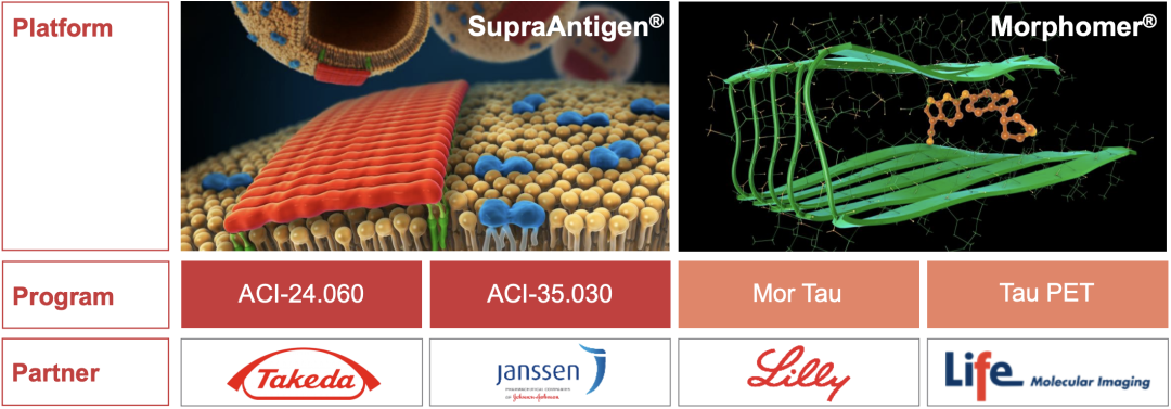 The Vast Potential of ADC Drugs: Autoimmunity, Infections, Metabolism, CNS, and More