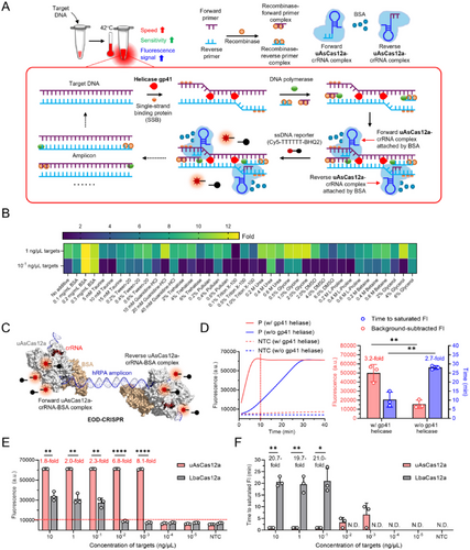 3D Printed Chips Empower CRISPR for Rapid On-Site Detection of Foodborne Bacteria