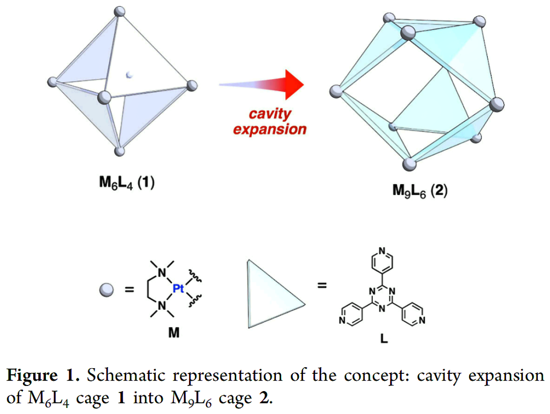 Template and Solid-State-Assisted Assembly of an M9L6 Expanded Coordination Cage for Medium-Sized Molecule Encapsulation