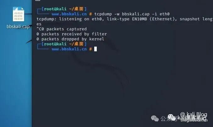 20 Common Network Commands in Kali Linux