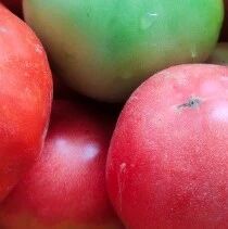 Weekly Tomato: High in Potassium and Vitamin C, You Won't Know How Good It Is Until You Try...