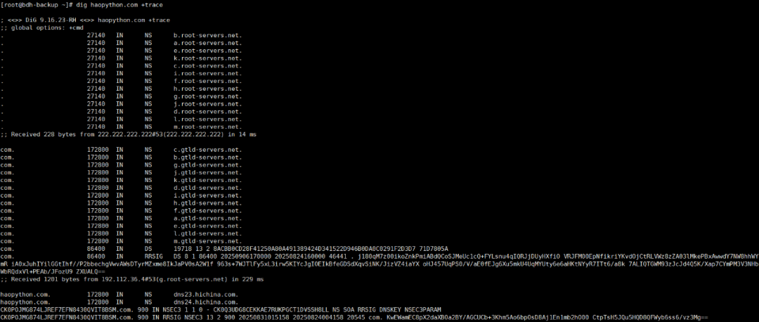 Installation and Usage of dig and nslookup Tools in Linux Systems