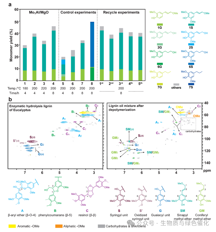 Synergy of Single Atoms and Lewis Acid Sites for Efficient and Selective Lignin Disassembly into Monolignol Derivatives