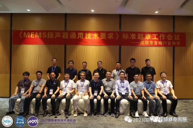 Another Sensor to be Disrupted by MEMS! A Surge in the Next 5 Years! This Time, China Leads the Development of the First Global Standard!