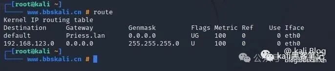 20 Common Network Commands in Kali Linux