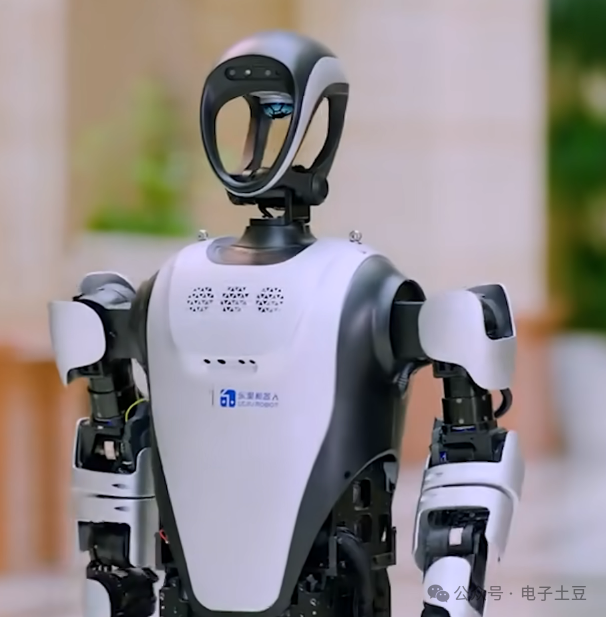 Is the Limitation of Embodied Intelligence Due to Computing Power and Chips?