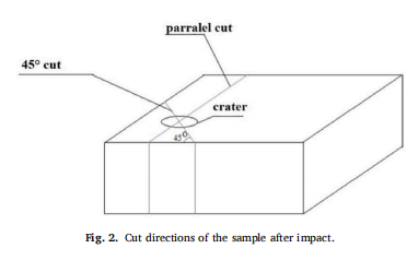 Impact Energy Absorption in Bio-inspired PLA Structures via 3D Printing